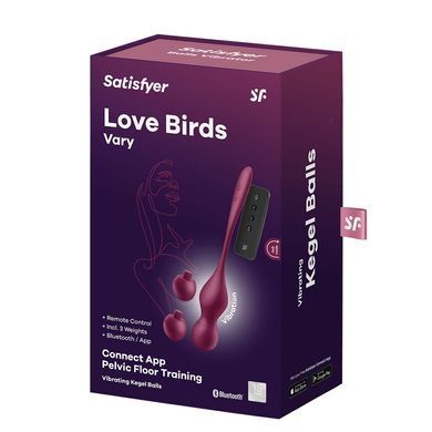 Смарт-вагінальні кульки з вібрацією Satisfyer Love Birds Vary Connect App, змінювана маса, пульт ДК SX1216 фото