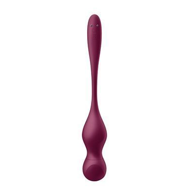 Смарт-вагінальні кульки з вібрацією Satisfyer Love Birds Vary Connect App, змінювана маса, пульт ДК SX1216 фото